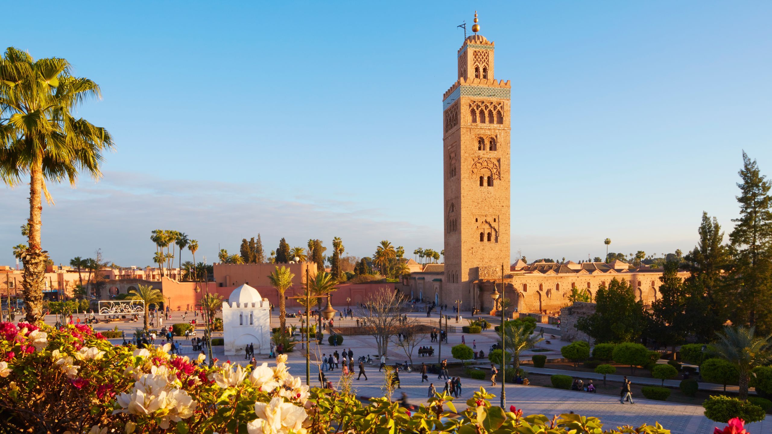 Envoi colis Marrakech Maroc transport bagages
